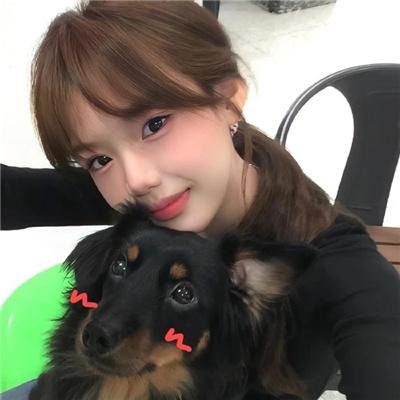 文豪野犬第三季